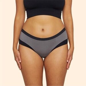 NEW Thinx Tencel Brief Period Panty Underwear Undie Small